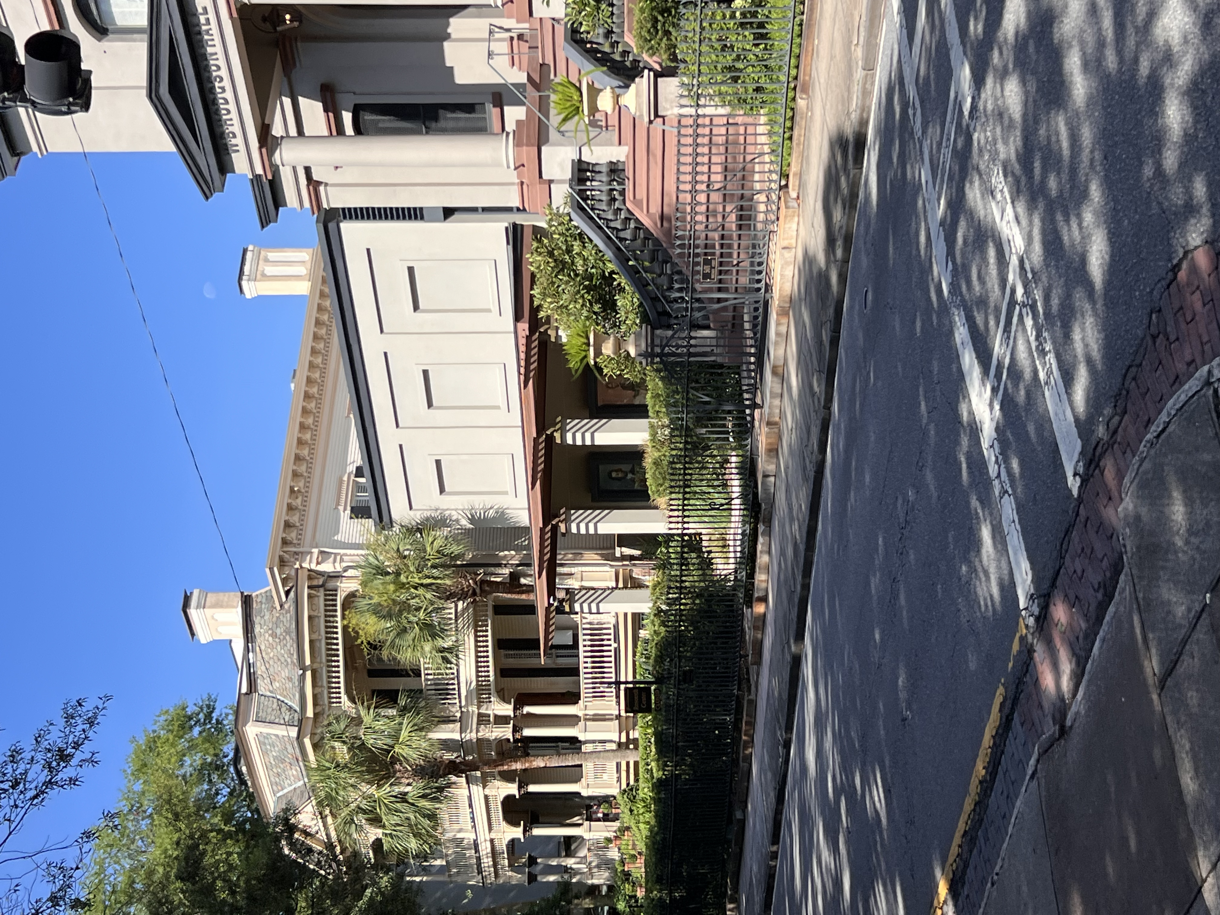 ./2025/06 - Savannah/IMG_1120.jpg